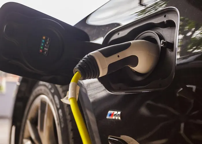 Srdella 珀德垂那